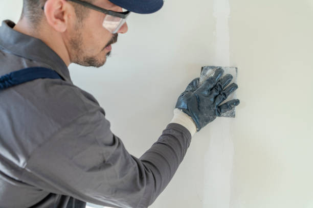 Trusted Franklin, PA Mold Removal Experts