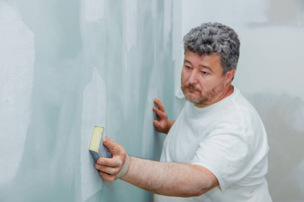 Best Asbestos and Lead Testing During Mold Inspection  in Franklin, PA