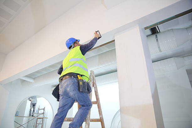 Best Industrial Mold Remediation  in Franklin, PA