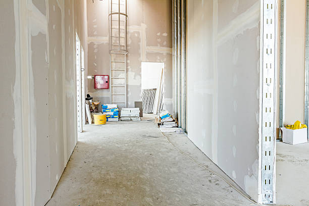 Best Mold Odor Removal Services  in Franklin, PA